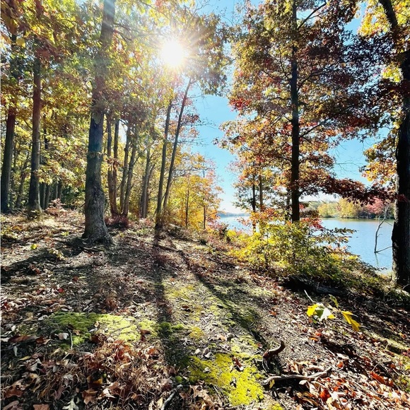 Meet your Posher, Annie - Picture 2 of 2